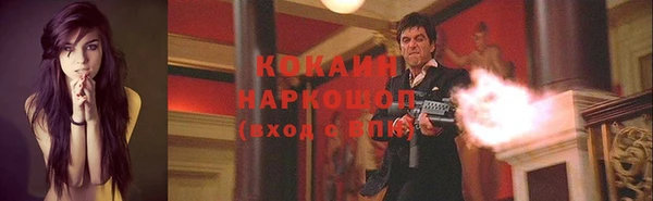 СК Сосновоборск