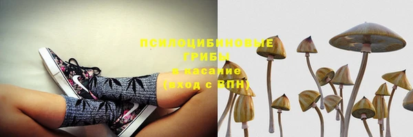 мяу мяу кристалл Надым