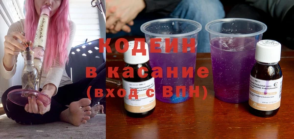 индика Нефтегорск